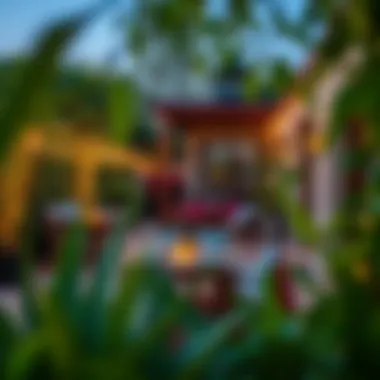 Charming Ambiance: Cozy Outdoor Dining Surrounded by Nature Cozy outdoor dining area surrounded by greenery and decorative lights