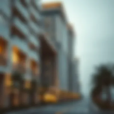 Overview of Residence Visa Types in Dubai Overview of residence visa types in Dubai