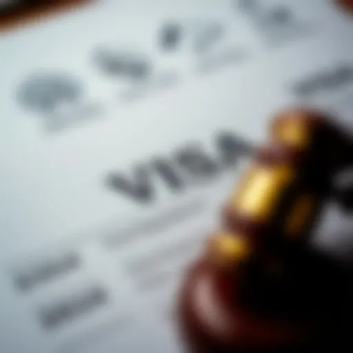 Legal document symbolizing visa regulations